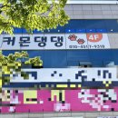 커몬댕댕 광주애견유치원&애견호텔 이미지