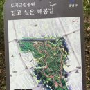 강남골 - 강남구 논현동 | 강남구 초등학교_대도초 + 주변 단지 환경 (3)