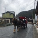 일본 쓰시마(대마도) 가족 여행 이미지