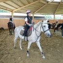 제주도·교육청·체육회 1학생 1스포츠 생활체육 정착 추진[e미래뉴스] 이미지