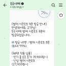 별푸른밤