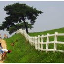 덕양목장1 이미지