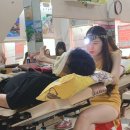 황제애견 이미지