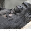 행복한 순간 이미지