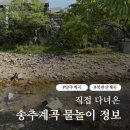 그늘막111 | 물 맑고 물고기 많은 송추계곡 직접 다녀온 후기 | 물놀이팁, 주차, 아쉬운 점까지
