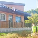 핑거커피보물섬점 네이버블로그