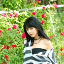 이지우 카카오 검색결과