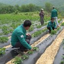 신철우 농가 이미지