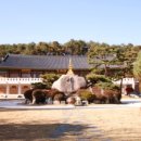 수원-1208 이미지