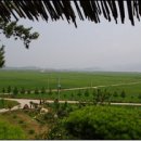 영동농장 이미지