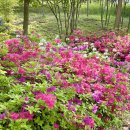 센트럴파크 5 이미지