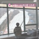 비발디의아침 | 홍천 소노벨 비발디파크 B동 스위트 패키지 후기
