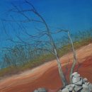 자연다움 이미지