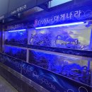 크래버 대게나라 | 판교 대게 맛집 크래버대게나라 주말 저녁 후기