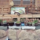 가연당민박 이미지