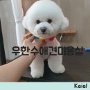 우한수 애견미용실 이미지