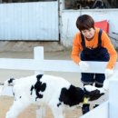 근성목장 TV리포트