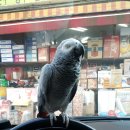 고대공단주유소 이미지