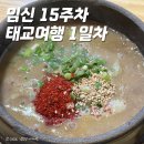 로긴리조트 | 임신 15주차 태교여행 제주도 DAY 1 : 우진해장국, 로긴호텔&amp;리조트, 아시아나항공