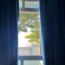 의병사거리 건널목(1) | 두돌아기와 치앙마이 한달살기-마야몰푸드코트,마야몰키즈카페, always loaf u, suki chang phueak