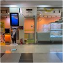 부산고양이분양 브라비펫 펫스테이션점 | 부산고양이분양 안심 분양 서비스 덕분에 마음 푹 놓을 수 있는 브라비펫