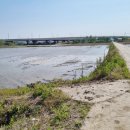 신현2농로 이미지