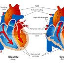 오드리여성한의원 이미지