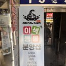 애니멀샵 | 남양주 파충류샵 애니멀리움 크레스티드게코 데리고 온 후기