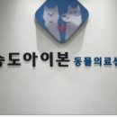 튼튼동물병원 이미지