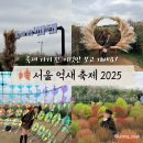 이마트24 상주낙양중앙점 | 서울 억새 축제 2025 포토존, 프로그램까지 따끈 후기 총정리