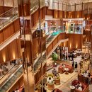 오픈독하우스 이미지