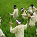 농악콘서트 이미지