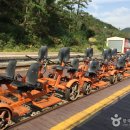 섬진강 레일바이크 이미지