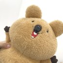 아일왁싱 | 사가정 왁싱 아일왁싱에서 브라질리언 받고 온 후기