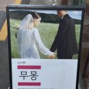 몽디자인스튜디오 | 부산 야외웨딩스냅 피팅 가능한 무몽드레스 피팅 및 구입 내돈내산 솔직후기(+가격공유, 꿀팁, 착용샷)
