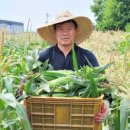 김경식 농장 이미지