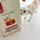 멍이로움 이미지