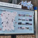 월명리 | "강원 양구 숨은 명소, 상무룡 출렁다리 가슴 뛰는 전망"