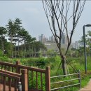 쇠죽골천 이미지