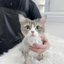 샤론민박 이미지