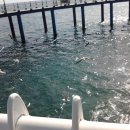 삼사리피전경로당 이미지