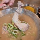[울산] 장생포 고래생태체험관 고래박물관 고래마을 맛집 추천 &#39;언양닭칼국수&#39;