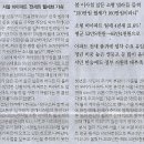 비아서울
