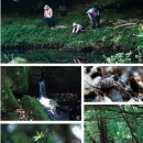 하례2리 이미지