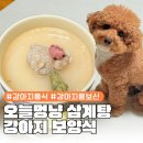 오늘도멍냥 이미지