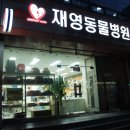 재영 동물병원 이미지