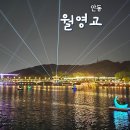 안동 관광지 월영교 야경 다녀온 후기 (feat.주차 꿀팁)