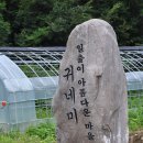 가마골농박 이미지