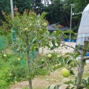 화수분농장 이미지