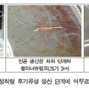 고바다 수산